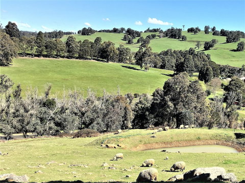 Balingup Highview Chalets - Local Tourism 0