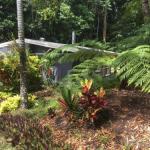 Kuranda QLD Accommodation Australia