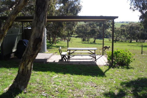 Wenton Farm Holiday Cottages - Bed n Breakfasts 2