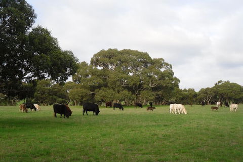 Wenton Farm Holiday Cottages - Bed n Breakfasts 4
