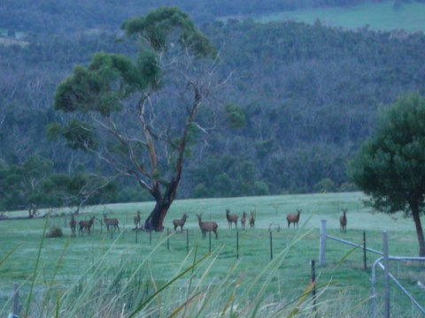 Hawksview At Mafeking - Accommodation Australia 3