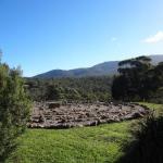 Hawksview At Mafeking - Accommodation Australia 0