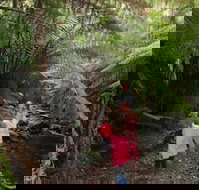 12 Apostles Cottages - Local Tourism