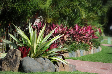 BIG4 Adventure Whitsunday Resort - Local Tourism 5