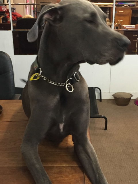 Capricornia Motel - Accommodation Australia 4