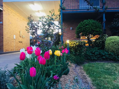The Vines Motel And Cottages - Local Tourism 0