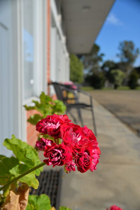 Ship Inn Motel - Accommodation Australia 1