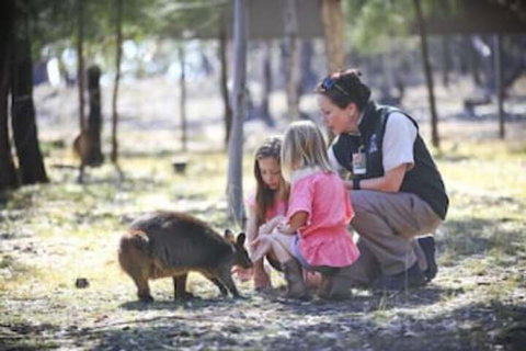Billabong Camp Taronga Western Plains Zoo - Accommodation Australia 6