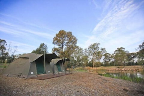 Billabong Camp Taronga Western Plains Zoo - Accommodation Australia 4