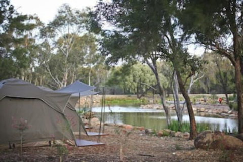 Billabong Camp Taronga Western Plains Zoo - Accommodation Australia 2