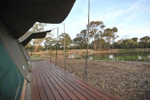 Billabong Camp Taronga Western Plains Zoo - Accommodation Australia 5