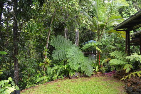 Tropical Bliss Bed & Breakfast - Australia Shopping 6