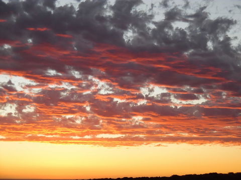 On The Deck @ Shark Bay - Bed n Breakfasts 6