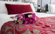 Mercure Warragul - thumb 6