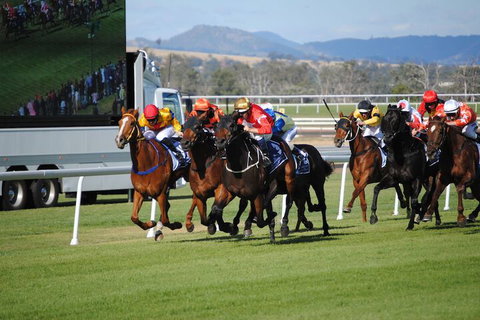 Airlie House Motor Inn - Local Tourism 4