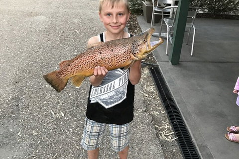 Eildon Pondage Holiday Park - Accommodation Australia 0