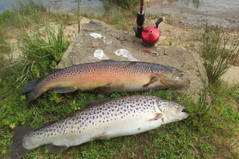 Eildon Pondage Holiday Park - Accommodation Australia 4