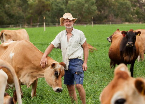 Dairymans Cottage - Accommodation Australia 3