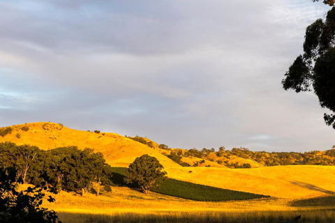 Dairymans Cottage - Accommodation Australia 6