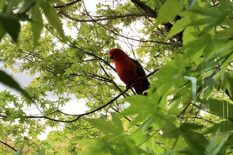 The Studio Yarra Valley - Accommodation Australia 7
