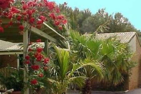 Wildsights Villas - Bed n Breakfasts 2