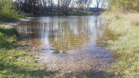 Abington Farm - Local Tourism 2