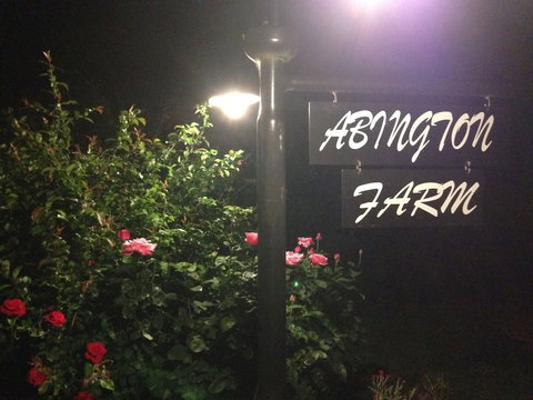 Abington Farm - Local Tourism 4