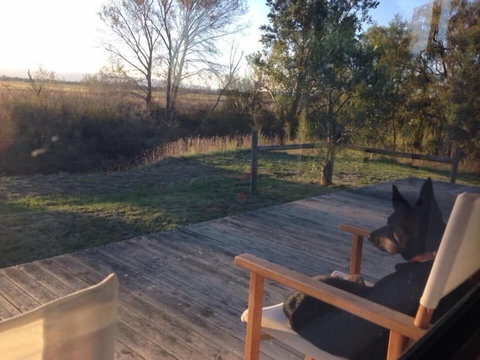 Abington Farm - Local Tourism 3