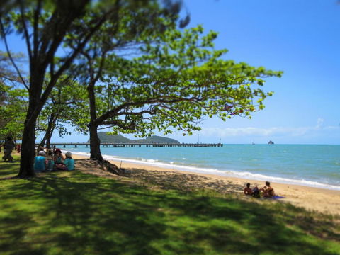 Cairns Beaches Flashpackers - Bed n Breakfasts 4