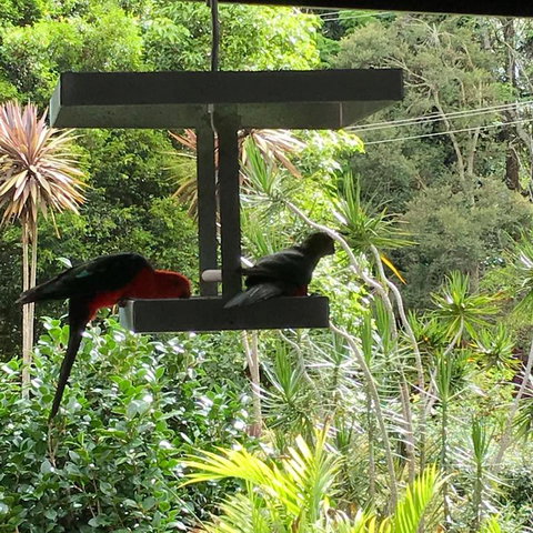 PK Illusions - Bed n Breakfasts 3