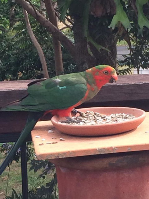 PK Illusions - Bed n Breakfasts 6