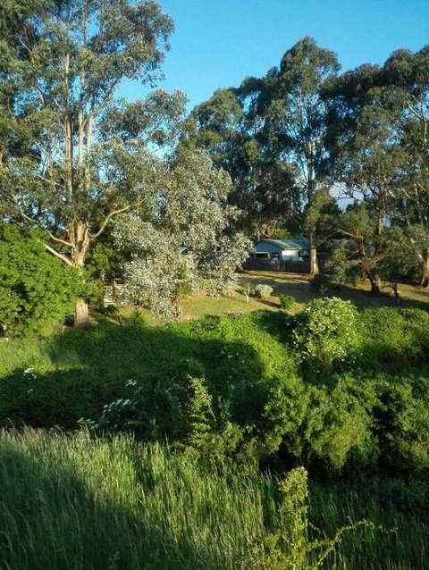 Cozy Stay Cottage - Accommodation Australia 3