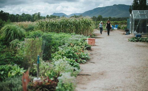 Margan Restaurant - Accommodation Australia 6