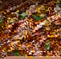 Pizza D'oh - Local Tourism