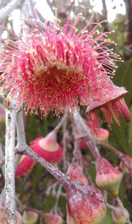 Arimia Restaurant And Winery - Local Tourism 20