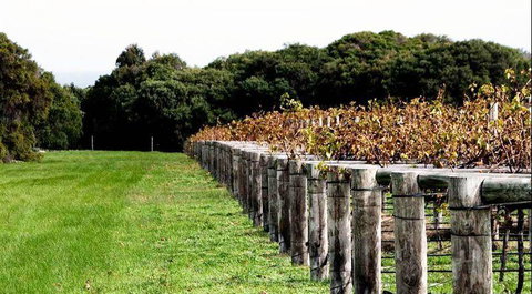 Arimia Restaurant And Winery - Local Tourism 5