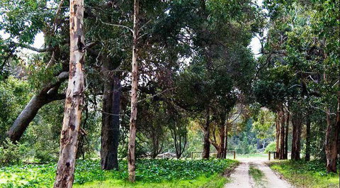 Arimia Restaurant And Winery - Local Tourism 7