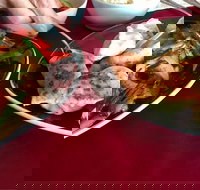 GalanGal - Local Tourism