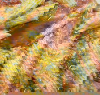 Jaspers Pizza  Pasta - Bed n Breakfasts