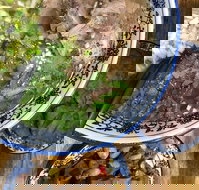 Lanzhou Beef Noodle Bar - Local Tourism