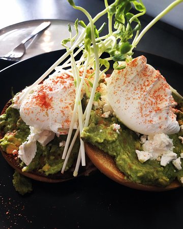 Highett VIC Local Tourism