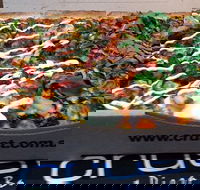 Crust Gourmet Pizza Bar Bendigo - Accommodation Australia