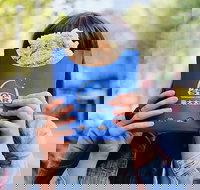 Hot Star Large Fried Chicken - Accommodation Australia