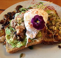 Waratah Organics - Accommodation Australia