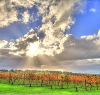 Max's at Red Hill Estate - Accommodation Australia