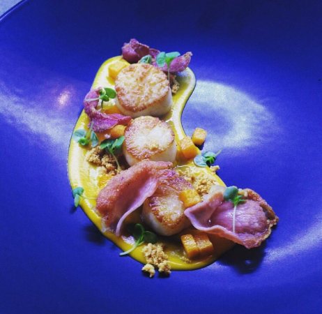 Miss Amelie - Local Tourism 0