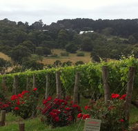 Paringa Estate - Accommodation Australia