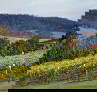 De Bortoli Winery  Restaurant - Accommodation Australia