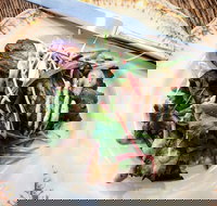 Frank and Connie's Kitchen - Local Tourism