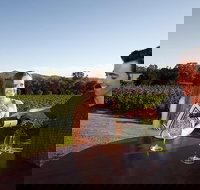 Gapsted Wines - Local Tourism